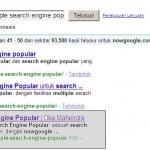 NowGoogle.com adalah multiple search engine popular