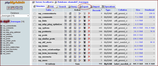 Menu export untuk exporting database wordpres