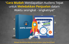 review simple audiens
